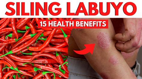 siling lara|The Health Benefits Of Siling Labuyo .